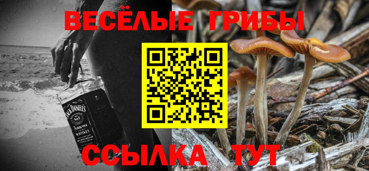 купить наркотик  Галлюциногенные грибы мухоморы  Вход с VPN  Нальчик 