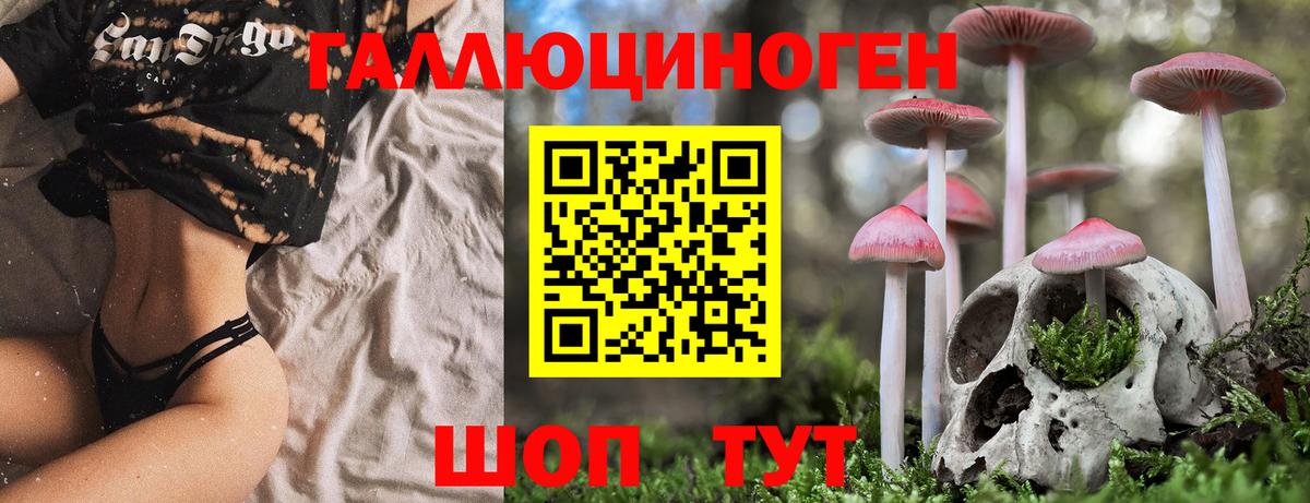 Псилоцибиновые грибы ЛСД Нальчик